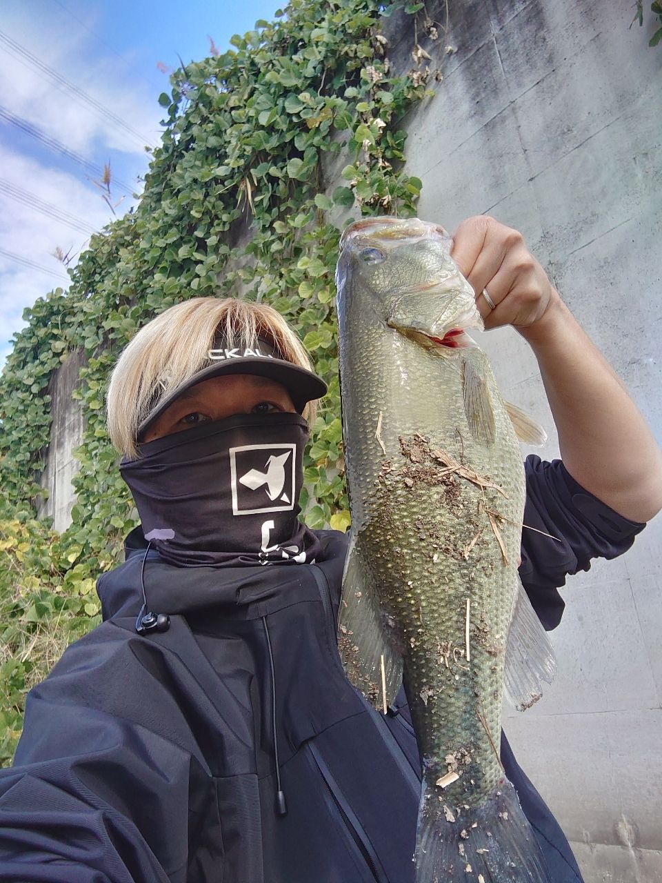 ブラックバス