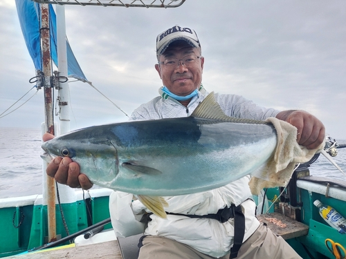 ブリの釣果