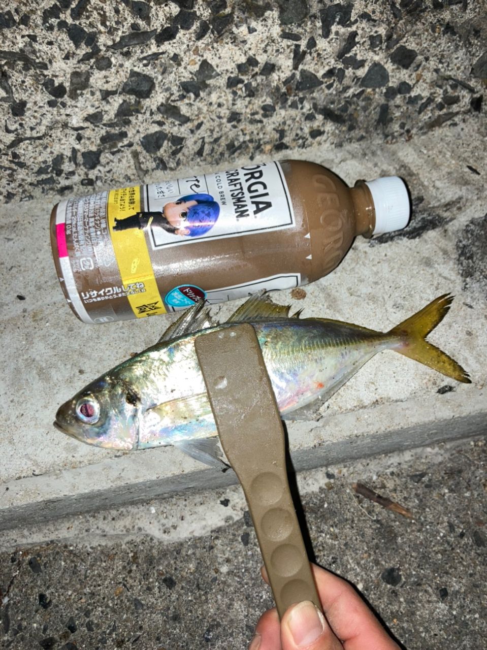 アジ