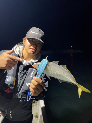 マアジの釣果