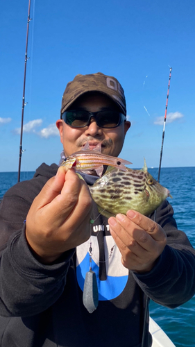 カワハギの釣果