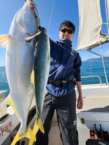 ハマチの釣果