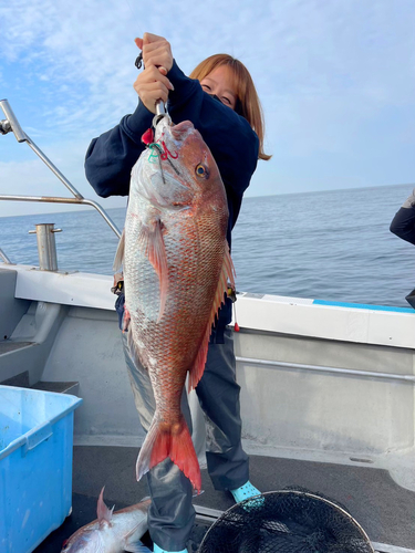 マダイの釣果