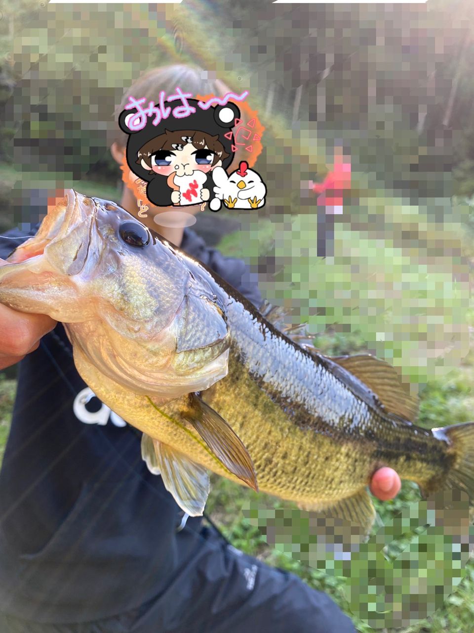 ブラックバス