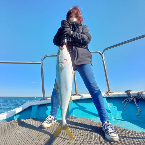 ブリの釣果