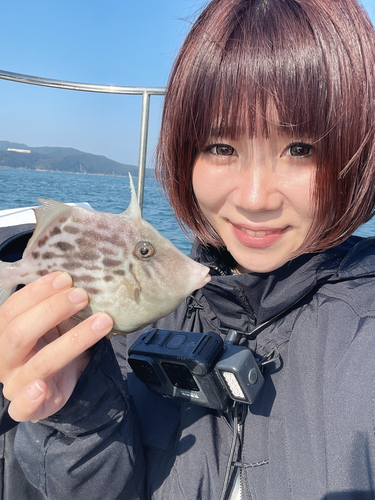 カワハギの釣果