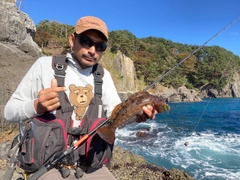 アイナメの釣果