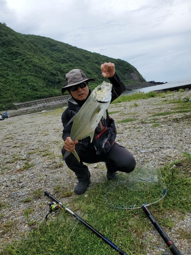 オニヒラアジの釣果