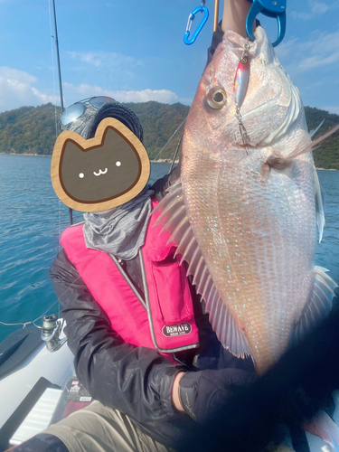 タイの釣果