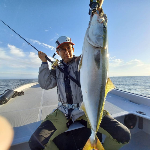 メジロの釣果