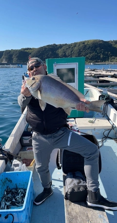 コロダイの釣果