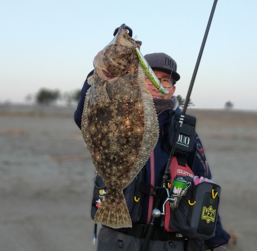 ヒラメの釣果