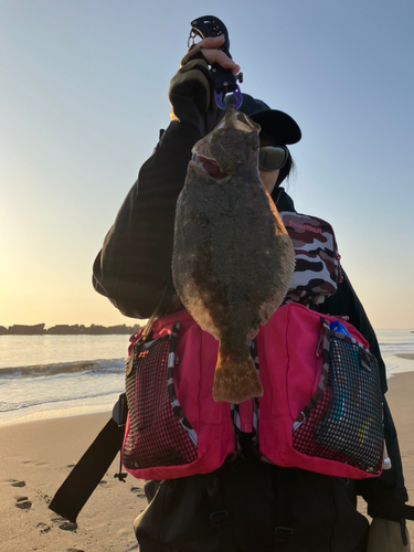 ソゲの釣果