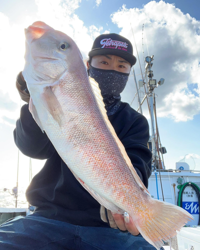 シロアマダイの釣果