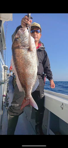 タイの釣果