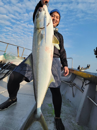 ヒラマサの釣果