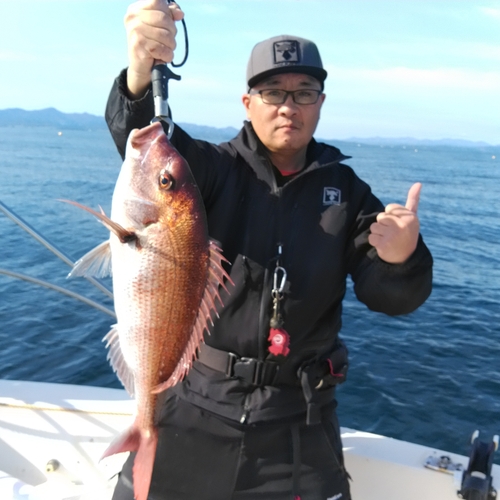 マダイの釣果