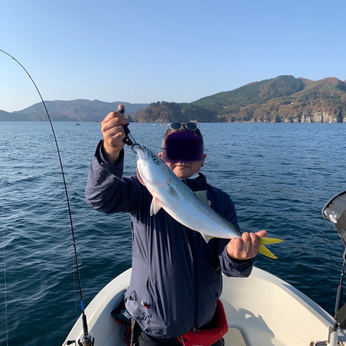 イナダの釣果