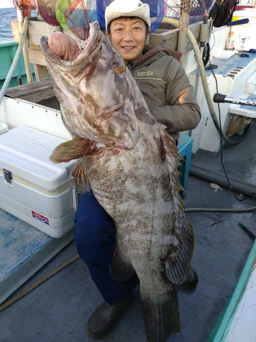 モロコの釣果