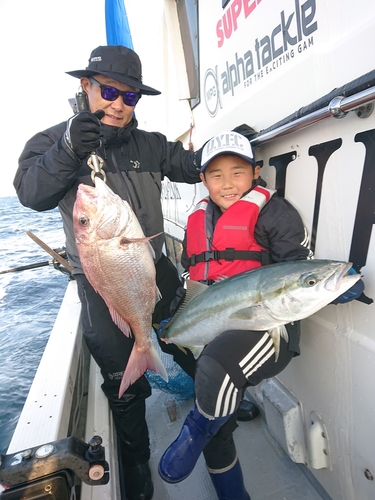 ブリの釣果