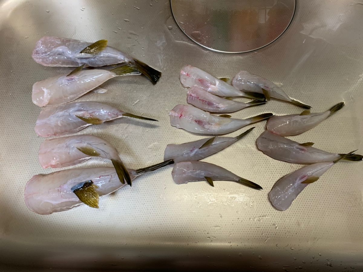 釣人竿太郎さんの釣果 2枚目の画像