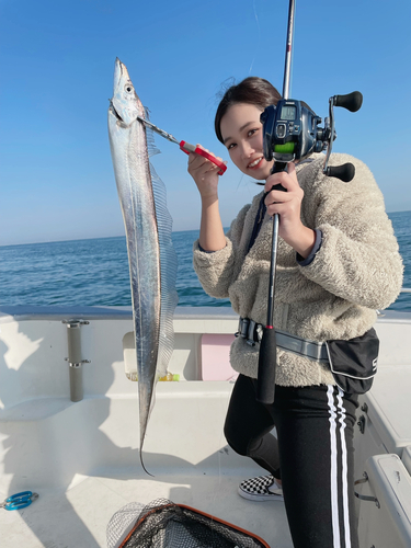 タチウオの釣果