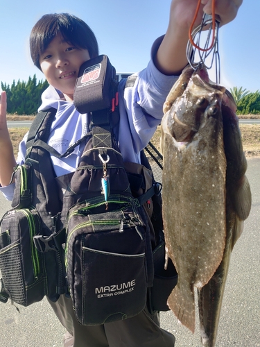 ヒラメの釣果