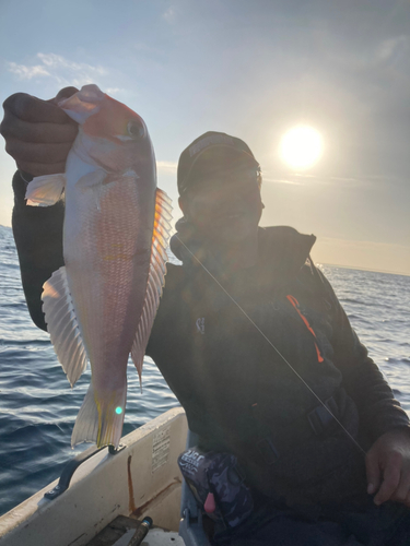 アマダイの釣果