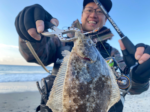 ヒラメの釣果