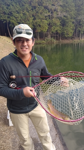 レインボートラウトの釣果