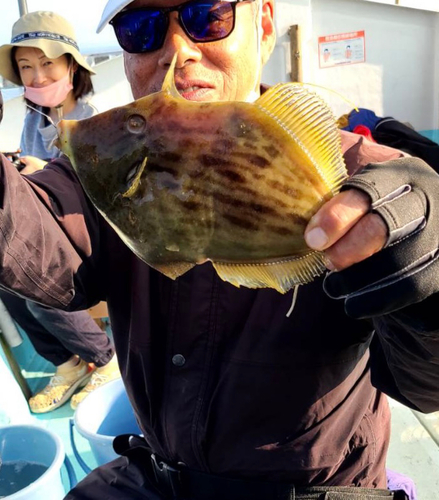 カワハギの釣果