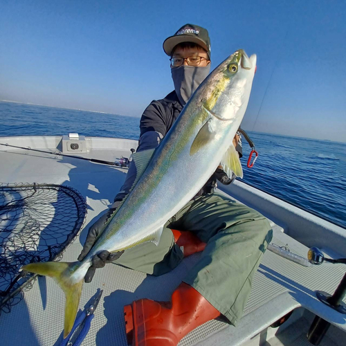 メジロの釣果