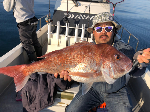 マダイの釣果