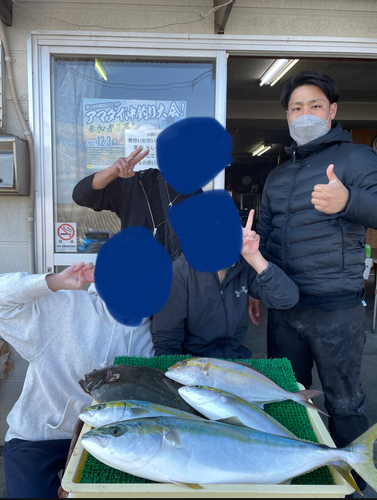 ワラサの釣果