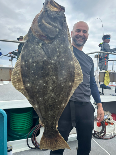 ヒラメの釣果