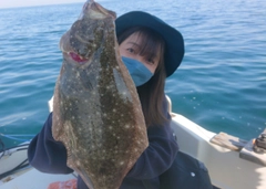 ヒラメの釣果