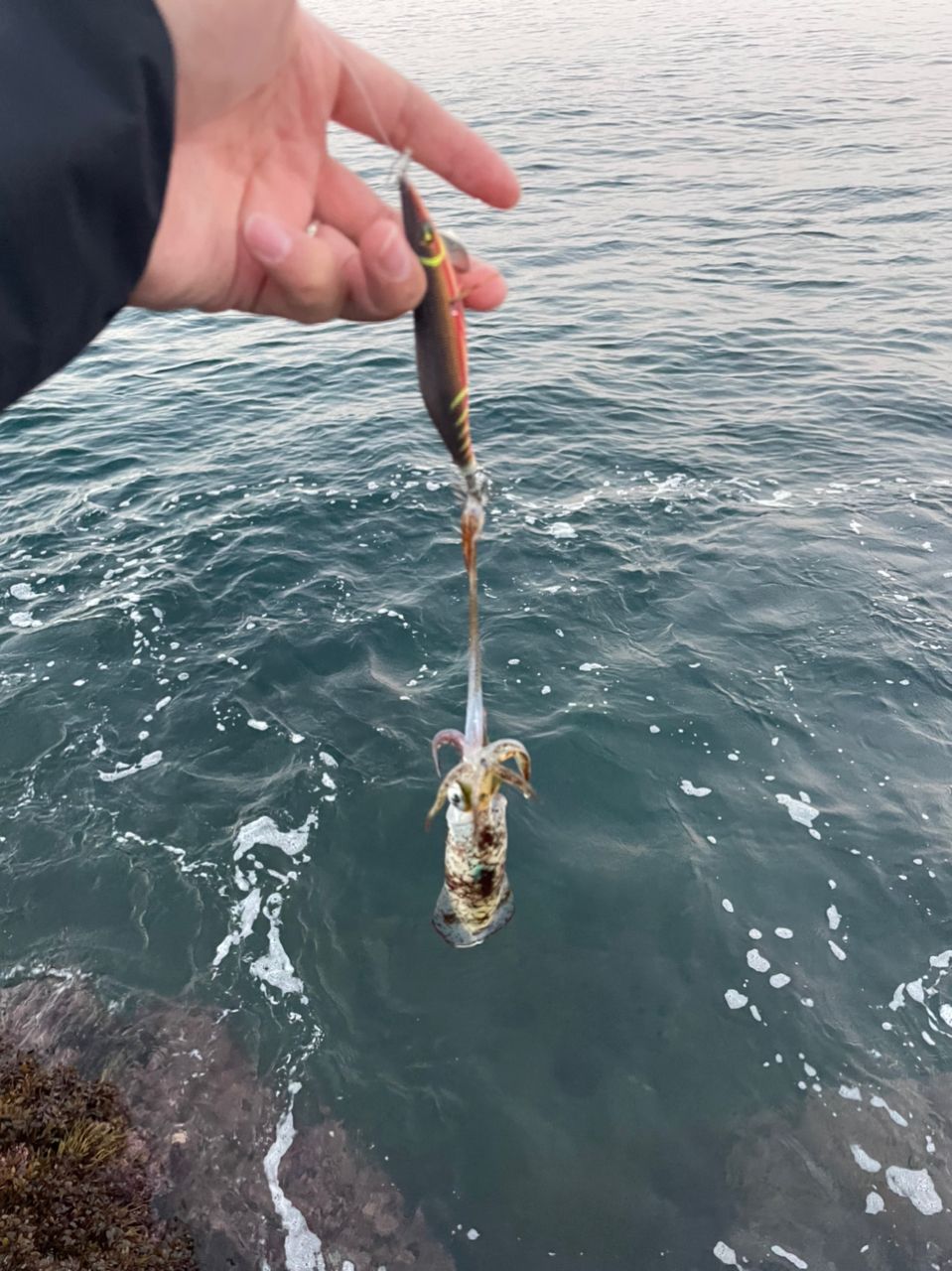 ちょいアホひでさんの釣果 3枚目の画像