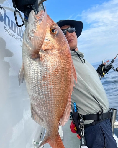 タイの釣果