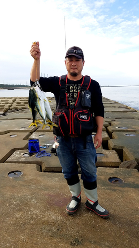 イナダの釣果