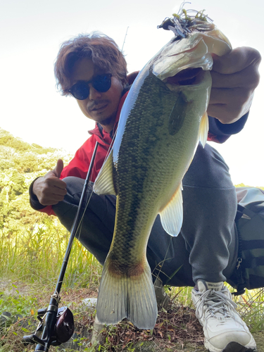 ブラックバスの釣果