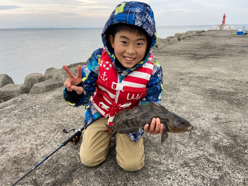 アイナメの釣果