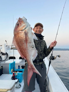 マダイの釣果