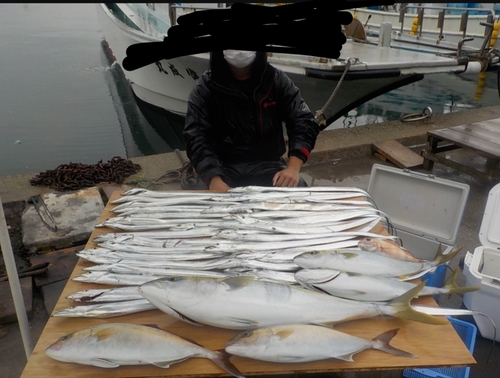 タチウオの釣果