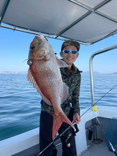 マダイの釣果