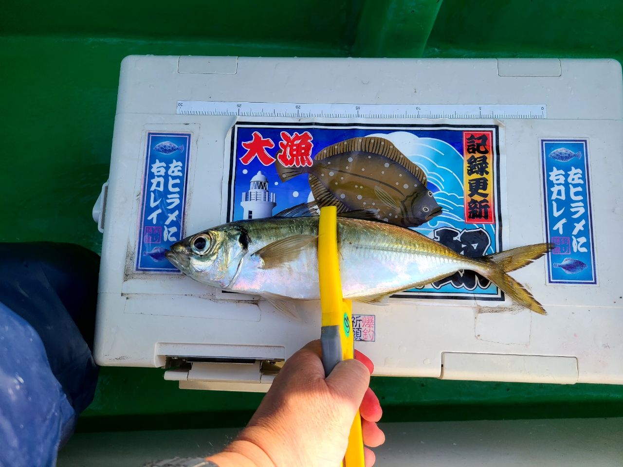 アジ