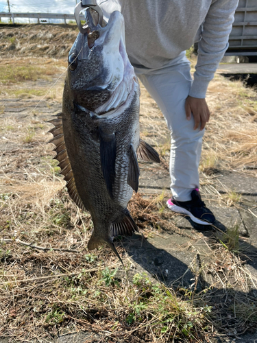 釣果