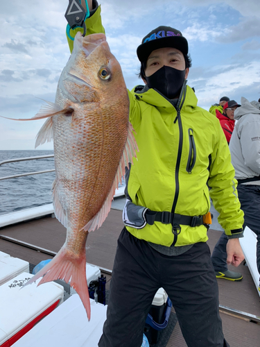 マダイの釣果