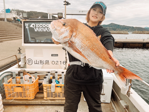 マダイの釣果