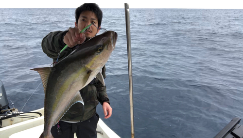 ヒレナガカンパチの釣果