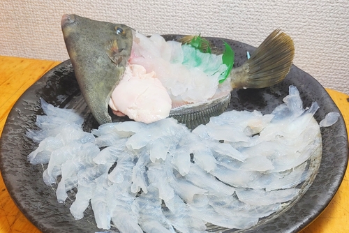 カワハギの釣果